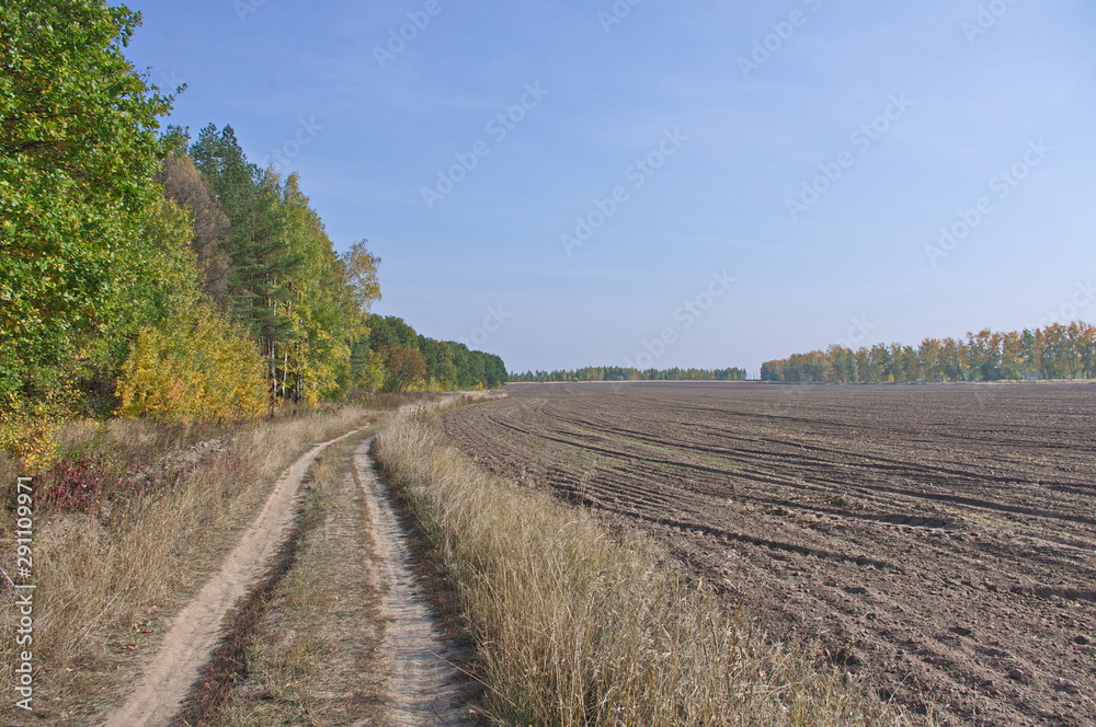 Autumn landscape of the suburban forests and fields of the city Zaraysk