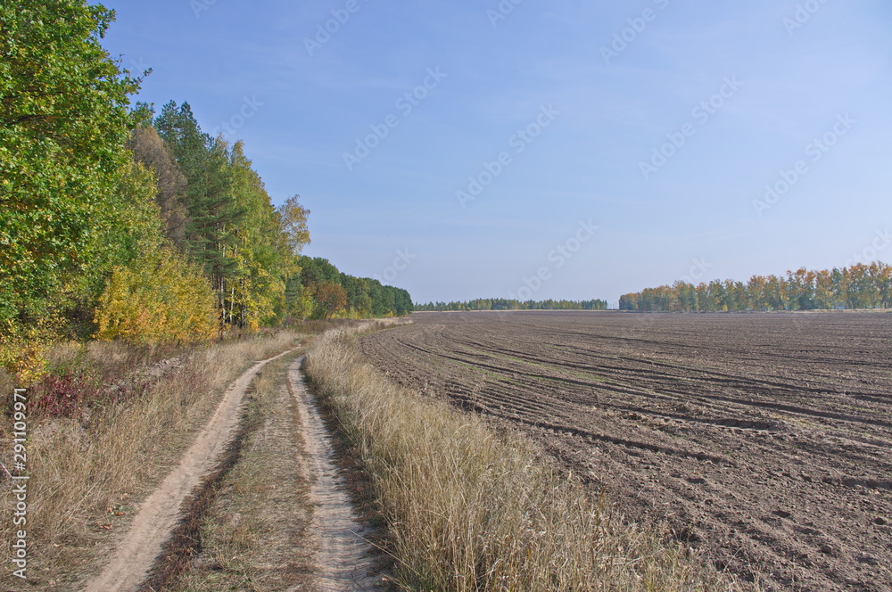 Naklejka premium Autumn landscape of the suburban forests and fields of the city Zaraysk