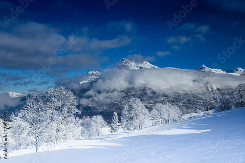 Beautiful view Mountains and Fir Trees in wintertime. 