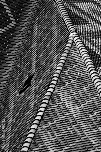 Wallpaper Mural Roof detail in black and white Torontodigital.ca