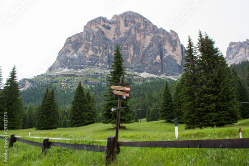 A pointers in Dolomites Italien Mountaun and green forest and grass