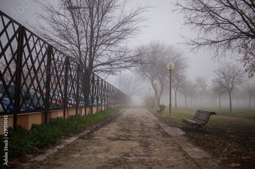 Autumn in Toledo on a foggy day