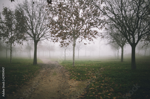 Autumn in Toledo on a foggy day