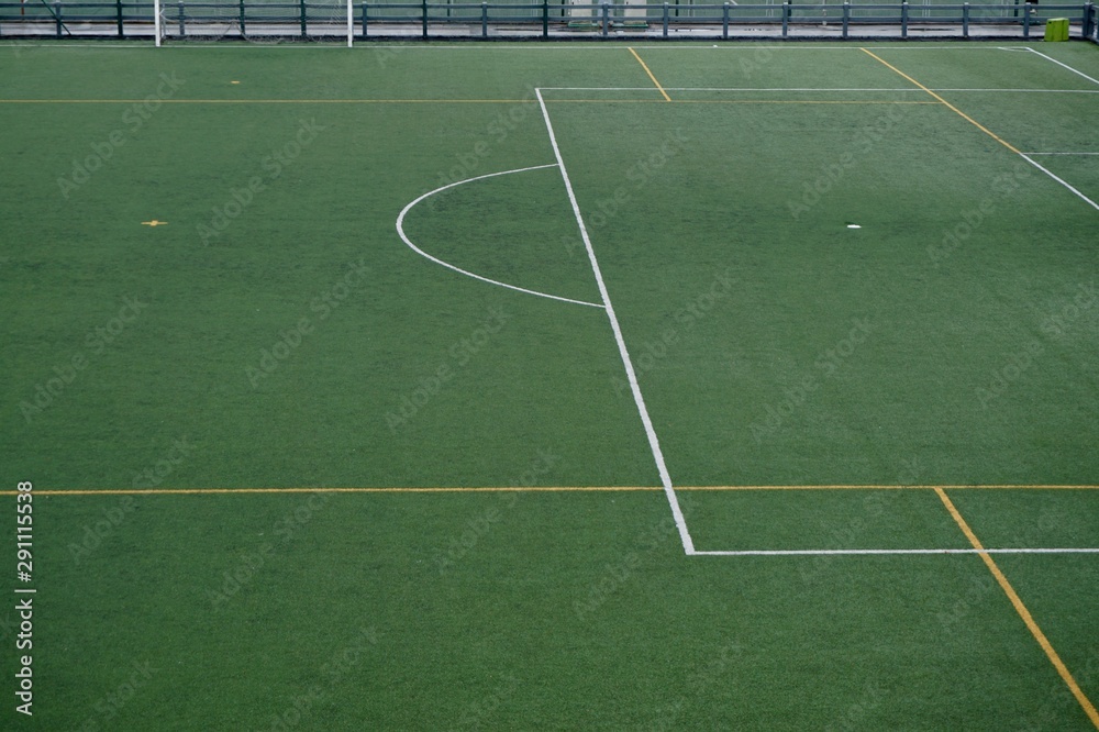 Fototapeta premium empty soccer field, green grass int he stadium