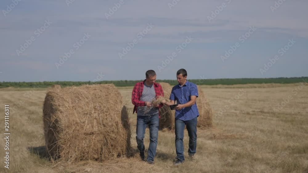 teamwork agriculture smart farming concept. two men workers farmers walking studying haystack in field on digital tablet. teamwork slow motion video. people agronomist botanist farmers working in teamwork agriculture smart farming concept. two men workers farmers walking studying haystack in field on digital tablet. teamwork slow motion video. people agronomist botanist farmers working in