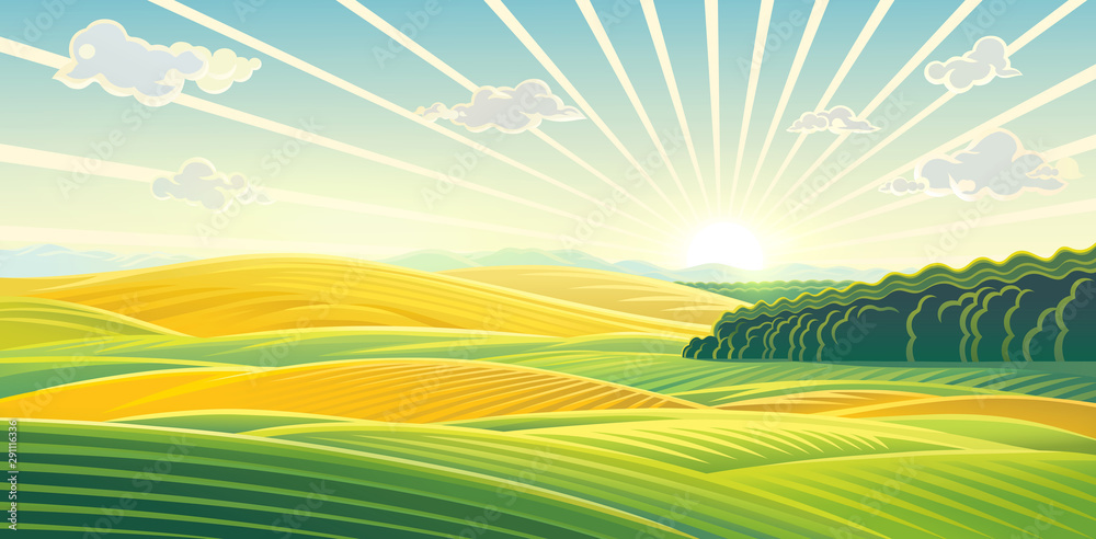Rural landscape with dawn over fields and hills. Raster illustration.