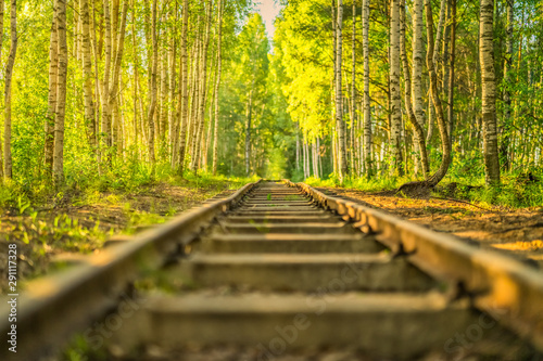 Old abandoned railroad tracks in the middle of the forest