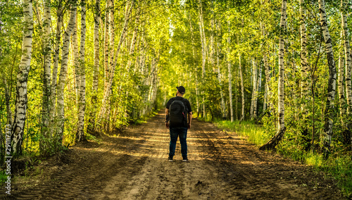 Fototapeta Naklejka Na Ścianę i Meble -  Silhouette of a man standing on the long road in the green forest