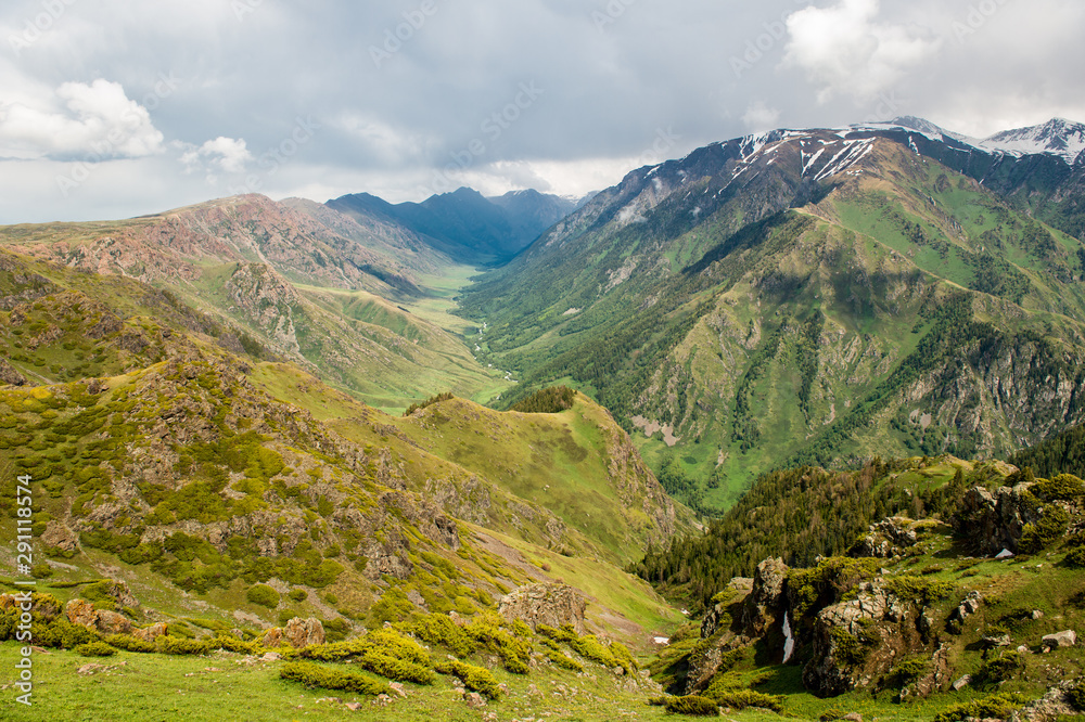 Naklejka premium Dzungarian Alatau