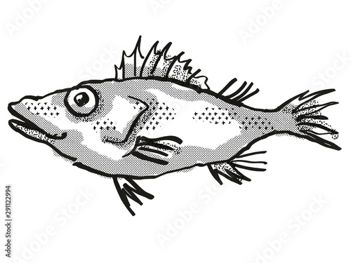 Longsnout No-line Scorpionfish Australian Fish Cartoon Retro Drawing
