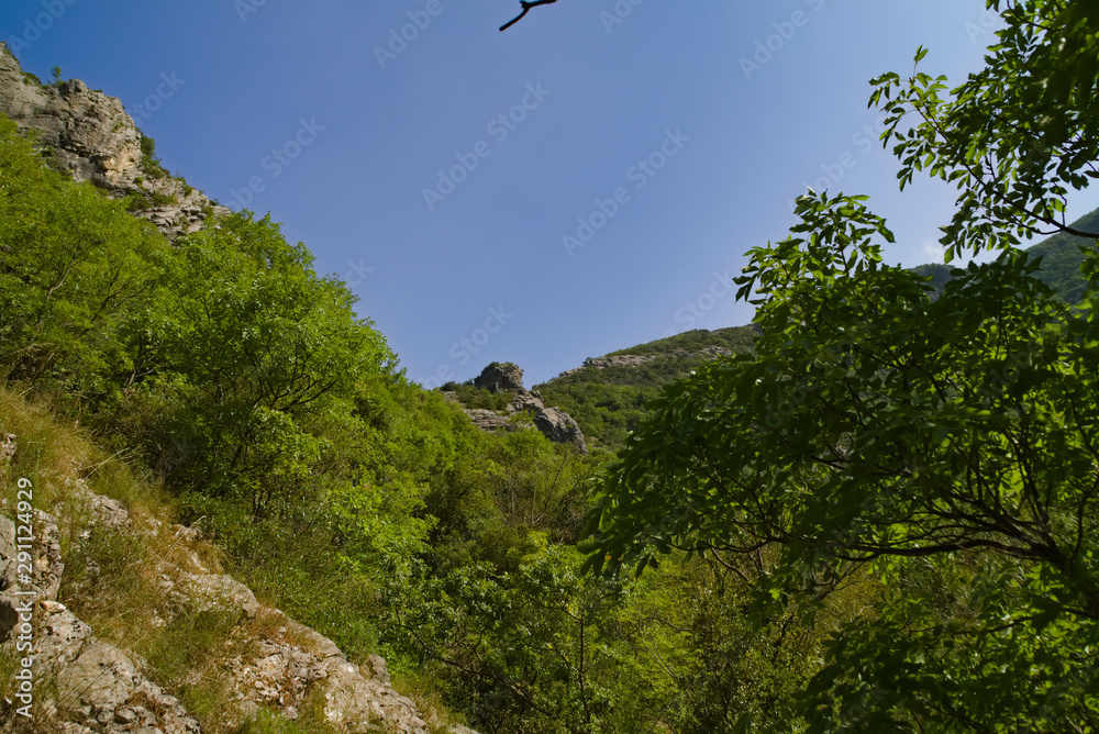 vista dal sentiero 208 fosso dell'eremo a Piobbico vista dal sentiero 208 fosso dell'eremo a Piobbico