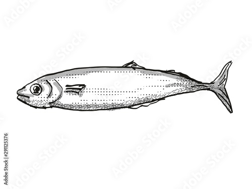 Koheru New Zealand Fish Cartoon Retro Drawing