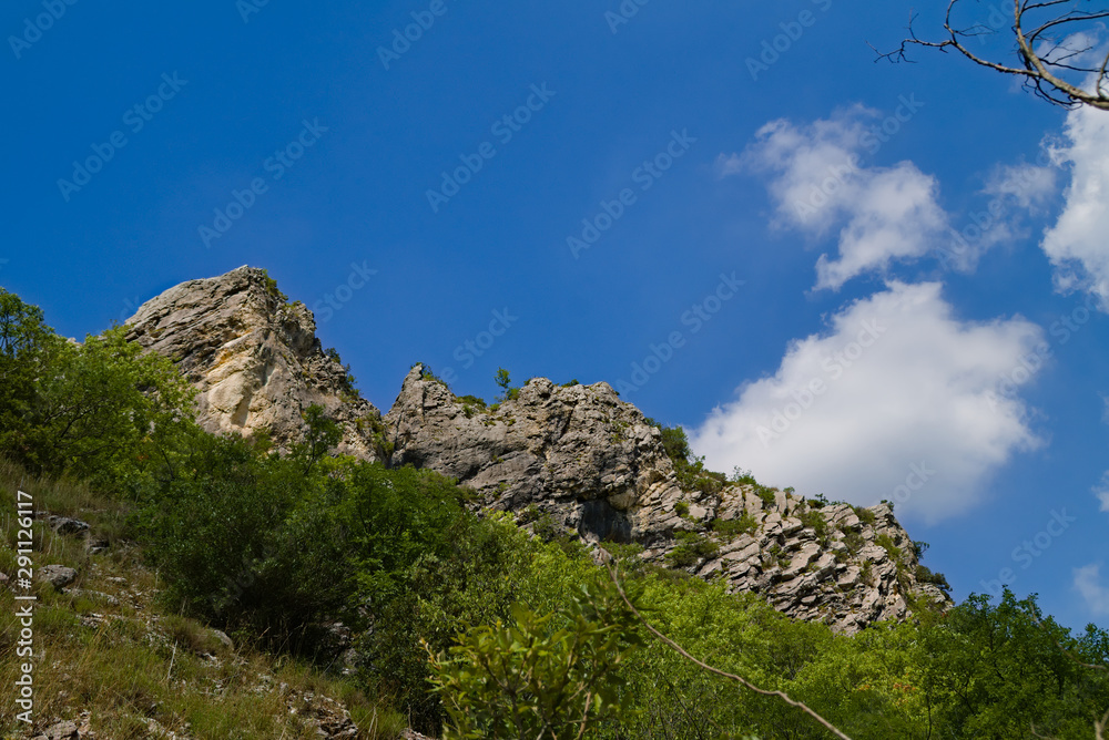 Fototapeta premium Vista lungo il sentiero 208 fosso dell'eremo a Piobbico