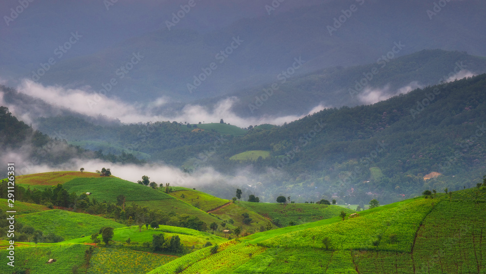 Landscape of farm land feild / agriculture feild after raining with fog / mist float along the gap of mountains / hills