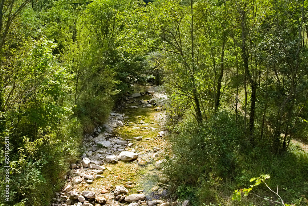 Obraz premium Vista lungo il sentiero 208 fosso dell'eremo a Piobbico