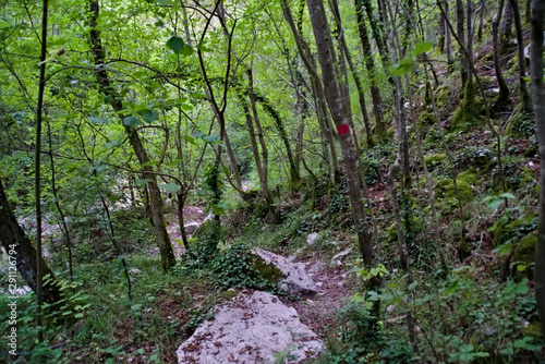 Vista lungo il sentiero 208 fosso dell'eremo a Piobbico