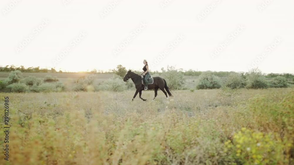 Young woman riding horse in slow motion on green field. Autumn season. Concept of farm animals, training, horse racing, nature Young woman riding horse in slow motion on green field. Autumn season. Concept of farm animals, training, horse racing, nature