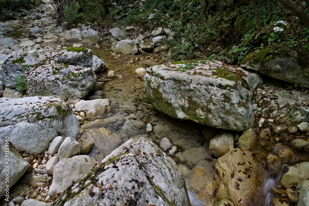Vista lungo il sentiero 208 fosso dell'eremo a Piobbico