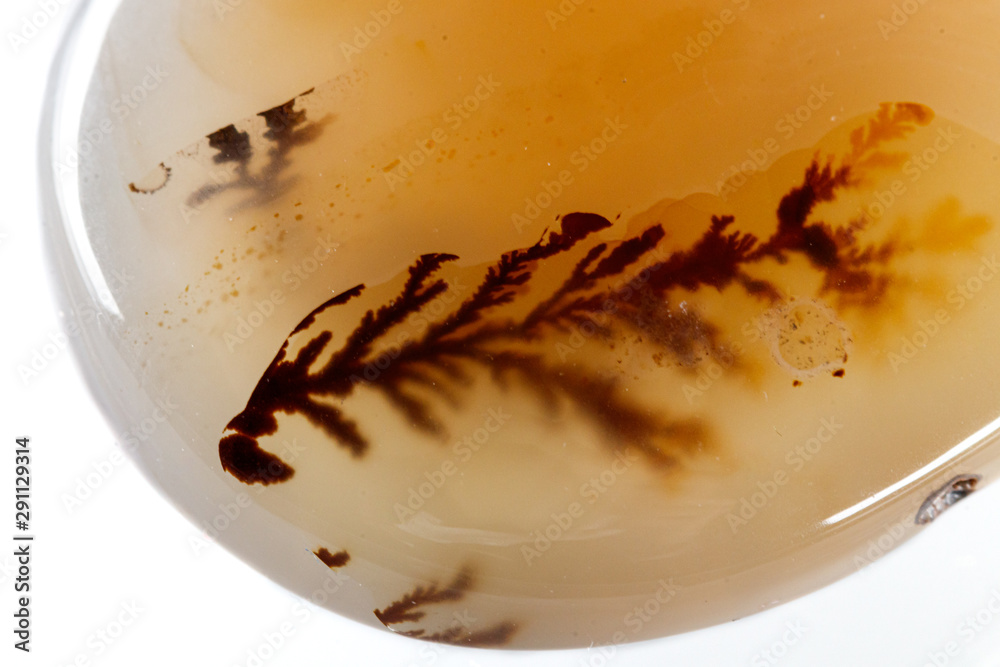 Fototapeta premium macro mineral stone Agata muschiata on a white background close-up