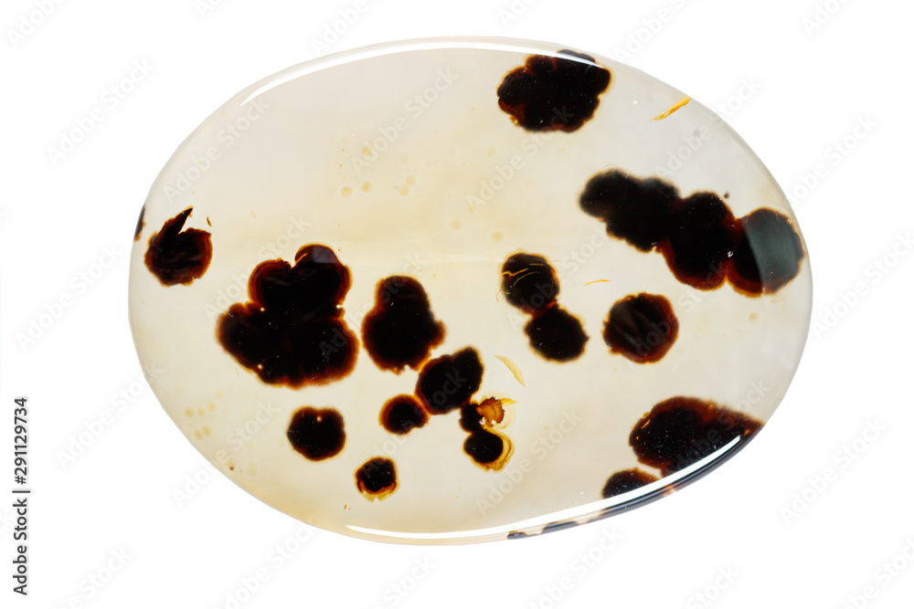 Fototapeta premium macro mineral stone Agata muschiata on a white background close-up