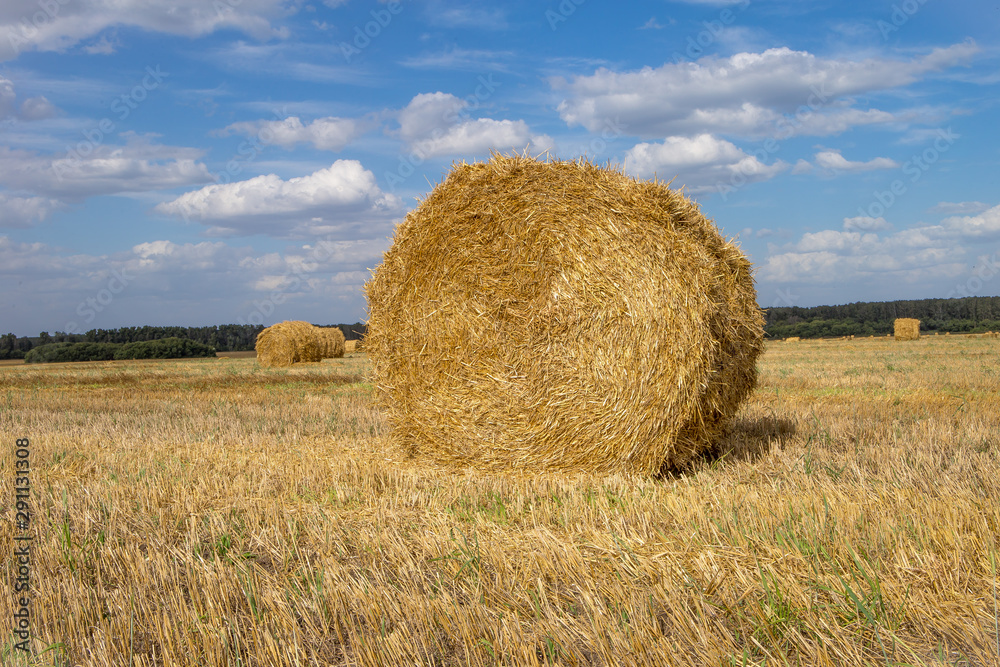 Golden sunset over farm field with hay bales Golden sunset over farm field with hay bales