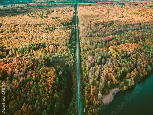 railway track goes into the distance through the autumn forest