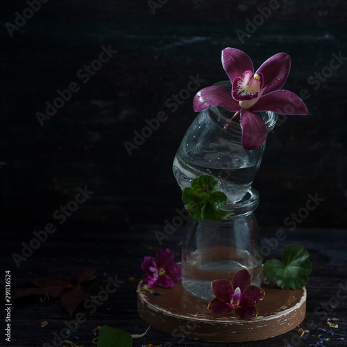 Orchid in a glass vase. Levitation. Balancing objects.