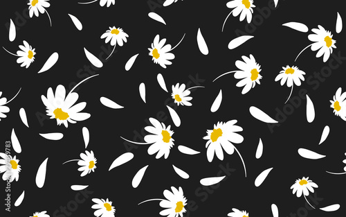 seamless pattern white daisies on a black background