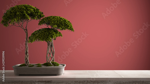 Vintage wooden table shelf with potted green bonsai, ceramic vase, red colored background, mock-up with copy space, zen concept interior design