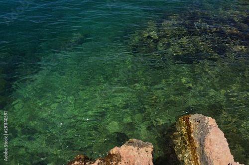 Green coloured clean sea water next to rocky shoreline in northern Croatia, Adriatic Sea. © zayacsk