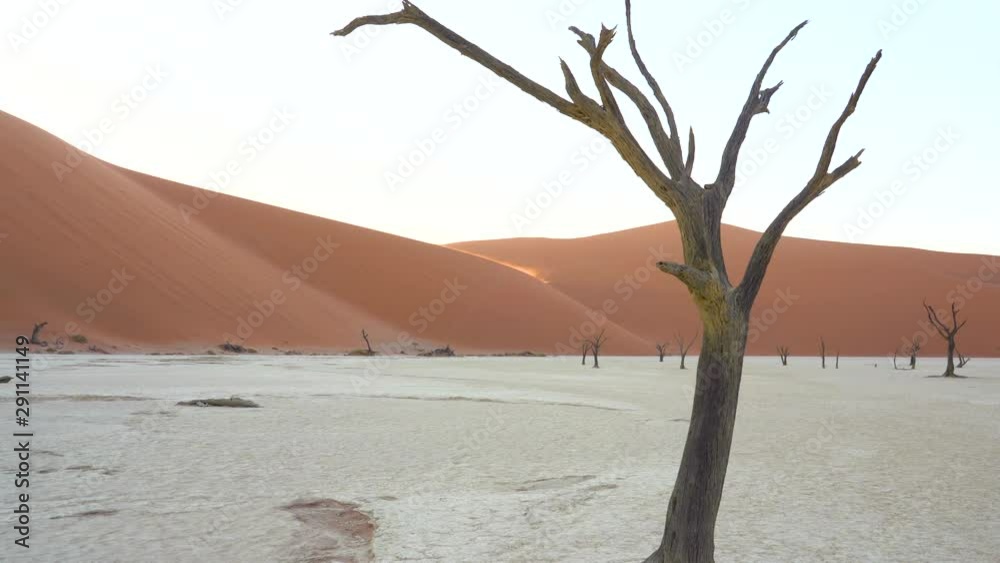 Dead trees at Deadvlei in the Namib desert in Namibia, Africa. Dead trees at Deadvlei in the Namib desert in Namibia, Africa.