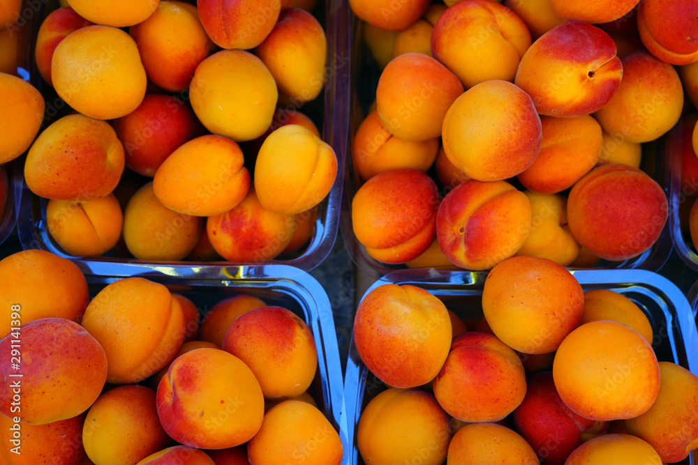 Ripe orange apricots in bulk at a farmers market