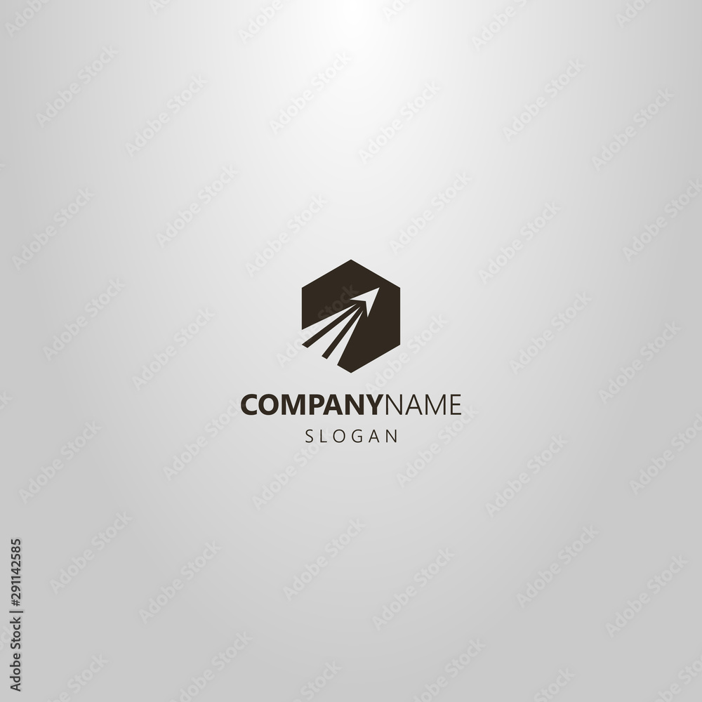 black-and-white-simple-flat-art-vector-hexagonal-logo-of-a-take-off