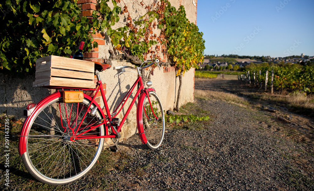 Vieux vélo dans les vigne et caisse de vin