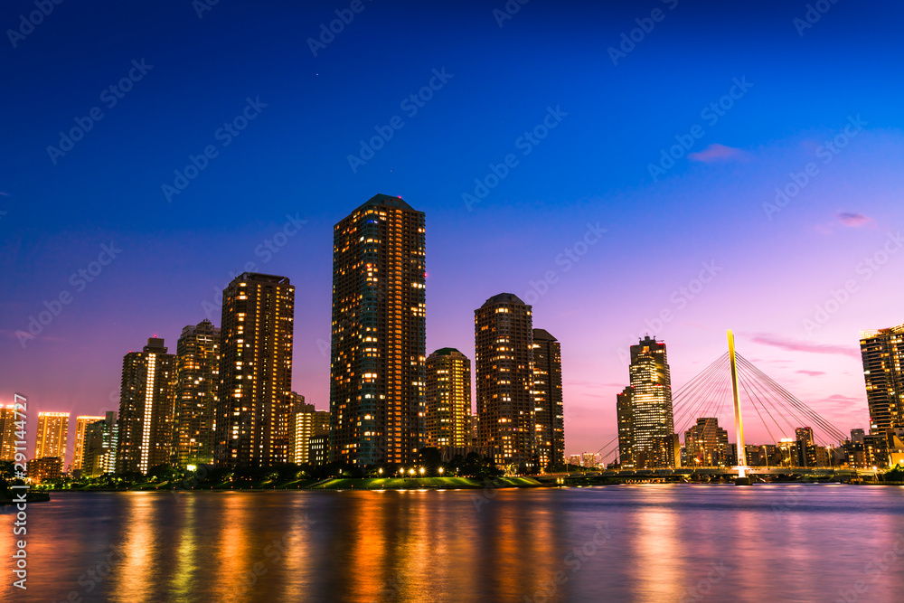 永代公園からみた佃島のタワーマンションの夜景(東京都中央区) 永代公園からみた佃島のタワーマンションの夜景(東京都中央区)