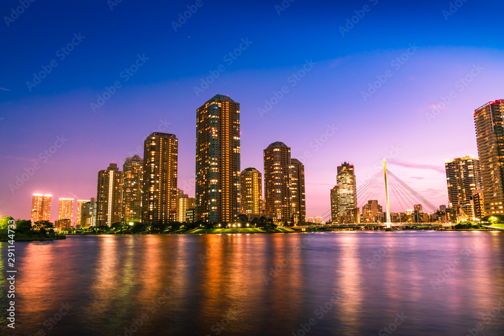 Fototapeta premium 永代公園からみた佃島のタワーマンションの夜景(東京都中央区)