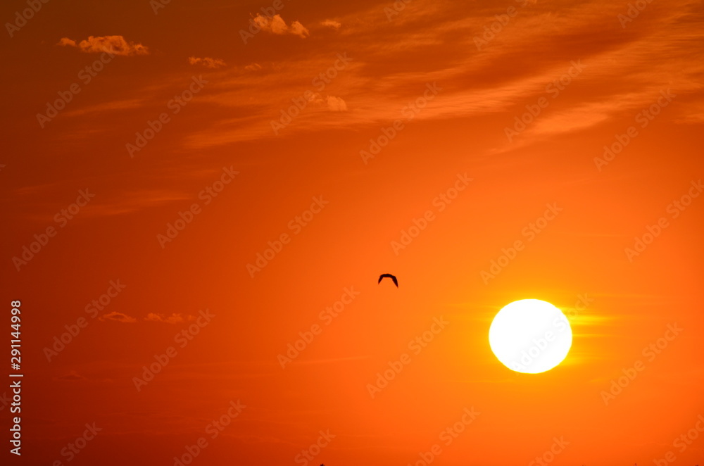 Sunset golden sky,romantic background,photo Sunset golden sky,romantic background,photo