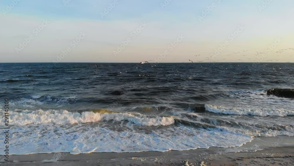Slow motion panoramic view of the behavior of nesting and migrant birds flying in groups over the waters of Lido beach,Long island,New York,at sunset Slow motion panoramic view of the behavior of nesting and migrant birds flying in groups over the waters of Lido beach,Long island,New York,at sunset