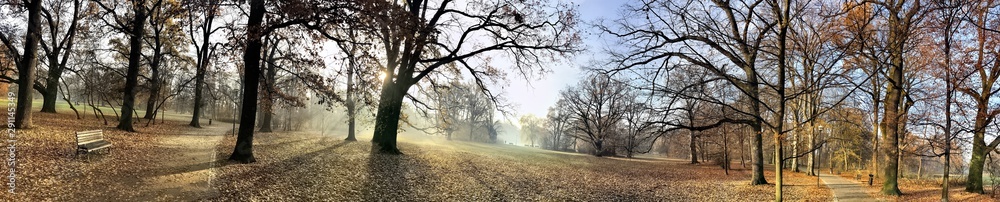 Fototapeta premium Beautiful lightning in trees in fall time