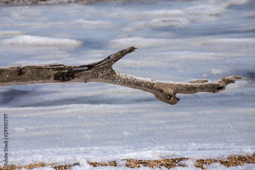 closeup of driftwood in snow and ice along a chesapeake bay beach in winter calvert county southern maryland usa photo