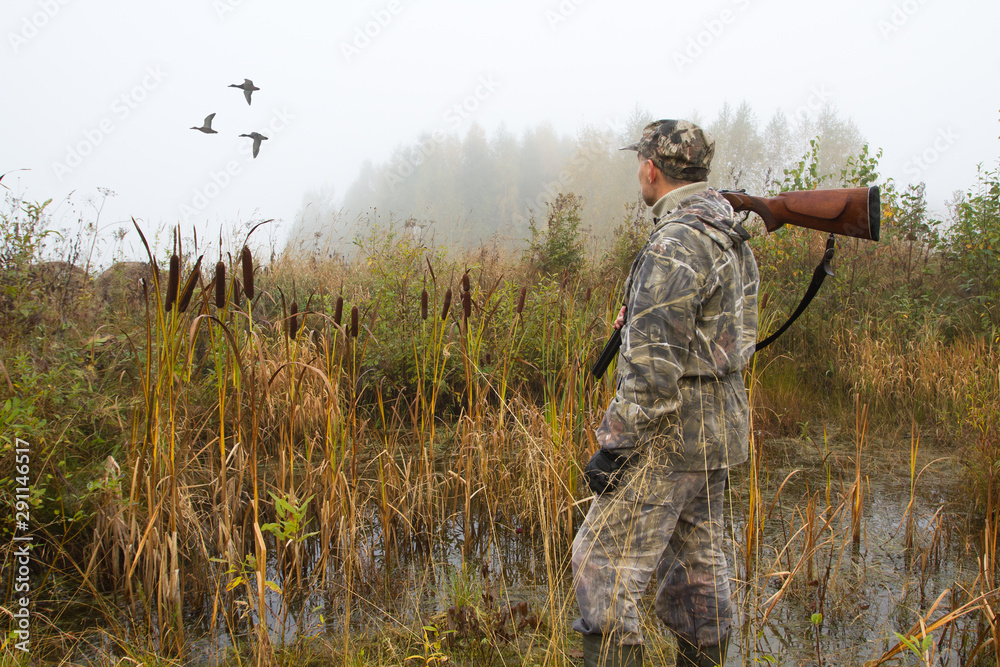the hunter looks after the departing ducks the hunter looks after the departing ducks