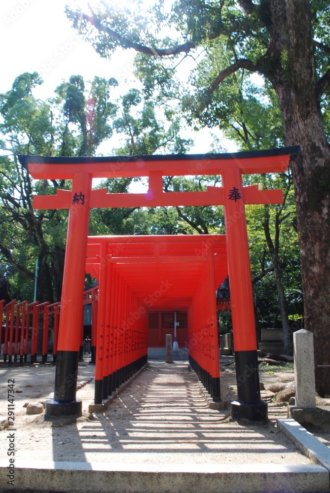 神社の鳥居 神社の鳥居
