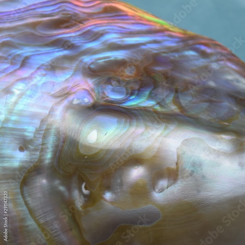 abalone shell pattern