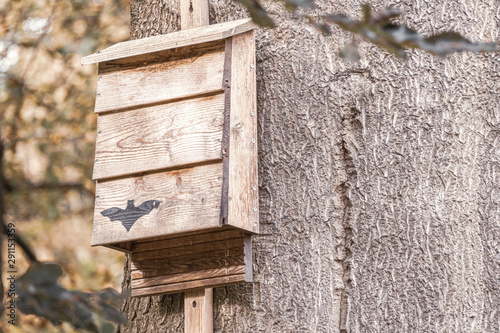 a bat box hangs from a tree in the forest and provides shelter for bats photo