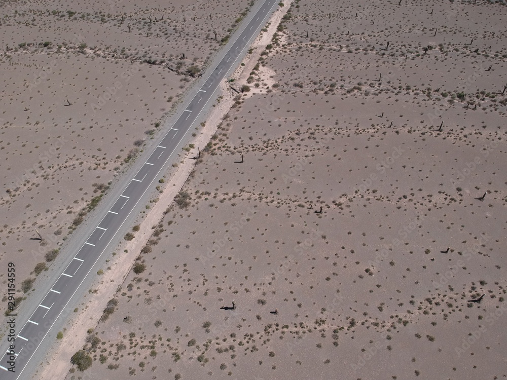Fototapeta premium Detail of road in desert