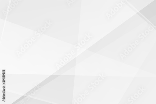 Abstract white and grey on light silver background modern design. Vector illustration EPS 10.