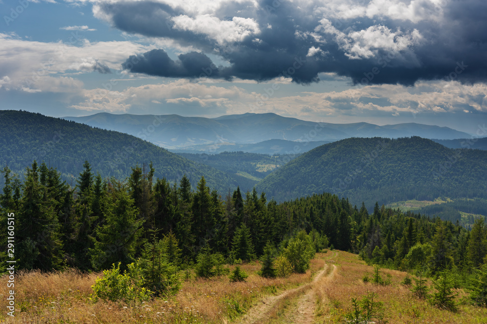 Fototapeta premium A wonderful walk along the ridge in the Ukrainian Carpathians amidst the scent of flowers, the dramatic cloudy sky before the rain with a thunderstorm.