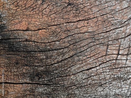 texture of wood, Wooden crack background, old brown wood 