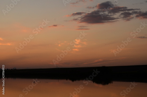 Sunset grass on river sunset landscape © Oleksandr