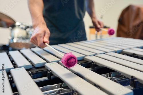 Obraz na plátně Vibraphone Player